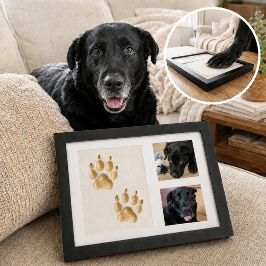 Paws Clay Kit