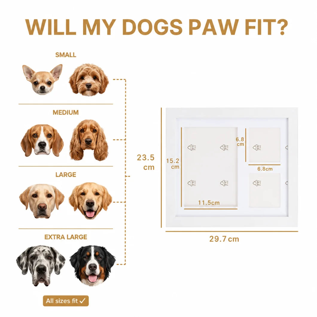 Paws Clay Kit